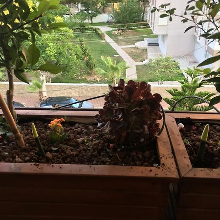 דירות אנטליה Orange Garden מראה חיצוני תמונה