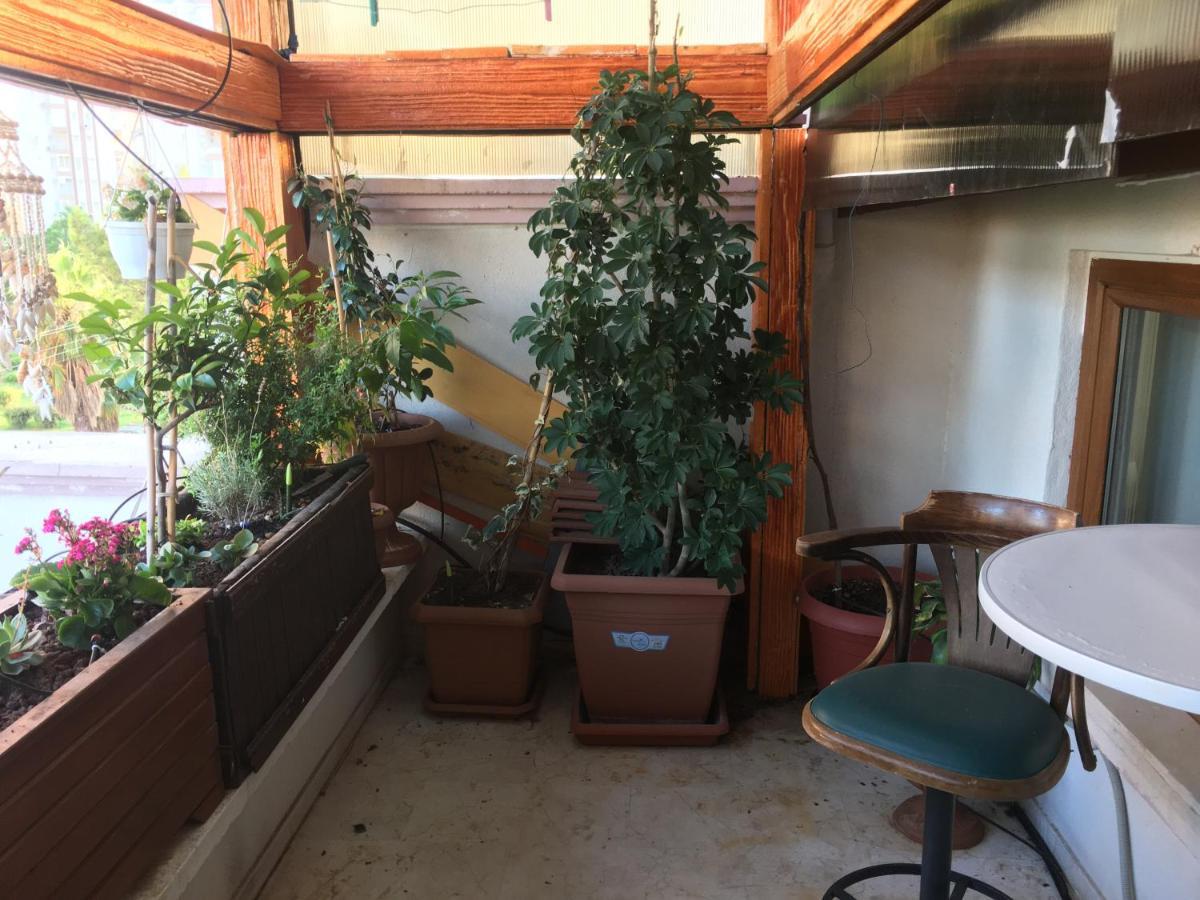 דירות אנטליה Orange Garden מראה חיצוני תמונה