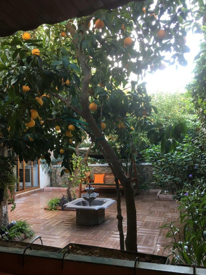 דירות אנטליה Orange Garden מראה חיצוני תמונה